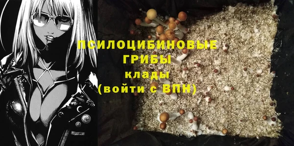 ПСИЛОЦИБИНОВЫЕ ГРИБЫ Беломорск