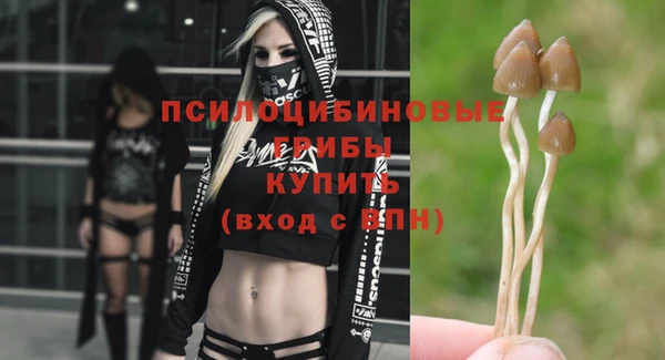 ПСИЛОЦИБИНОВЫЕ ГРИБЫ Беломорск