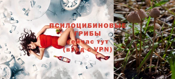 ПСИЛОЦИБИНОВЫЕ ГРИБЫ Беломорск