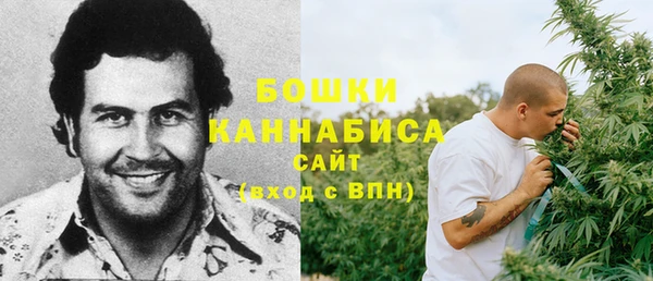 ПСИЛОЦИБИНОВЫЕ ГРИБЫ Беломорск