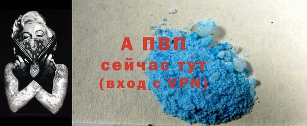 ПСИЛОЦИБИНОВЫЕ ГРИБЫ Беломорск