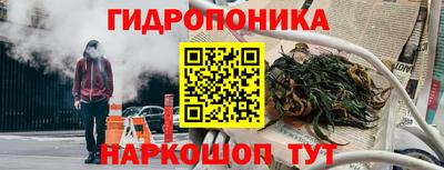 прущие грибы Нарткала