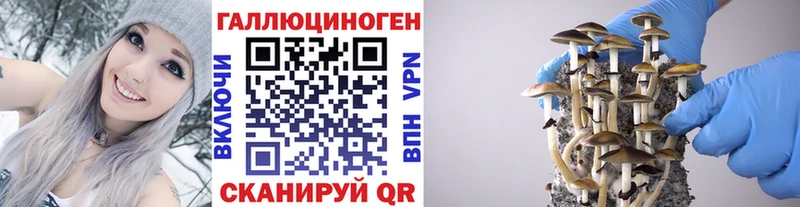 Галлюциногенные грибы Psilocybe  Верхняя Пышма 